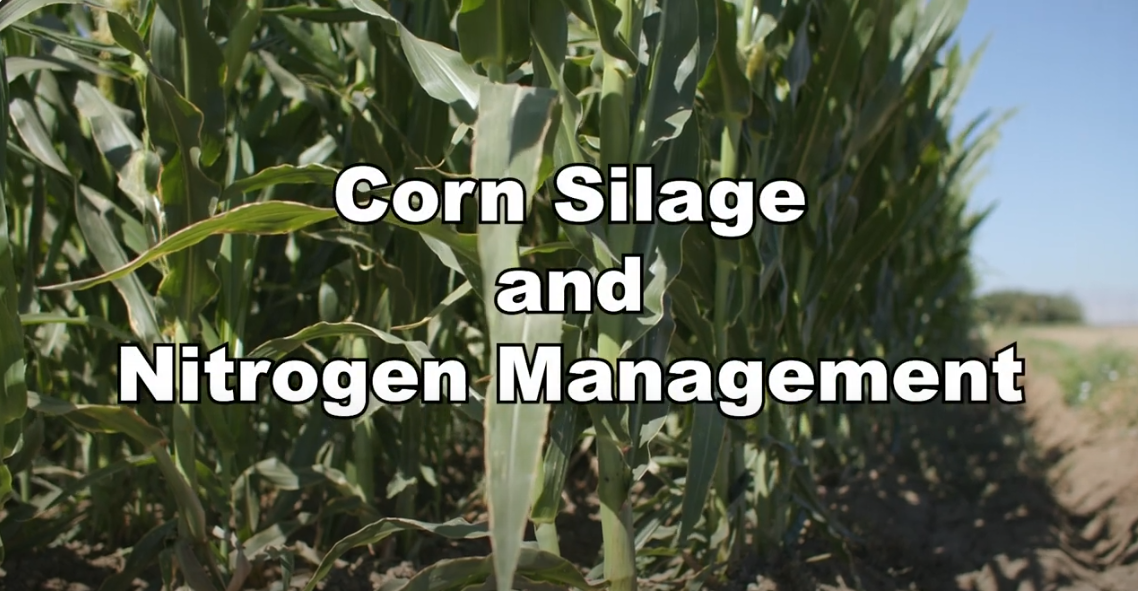 2024 10 03 Silage Outlier